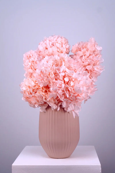 Hydrangea Bouquet